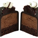 double chocolate cake bite